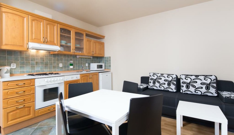 Picasso Apartments Praha - 1-bedroom apartment (2 people), 1-bedroom apartment (3 people)