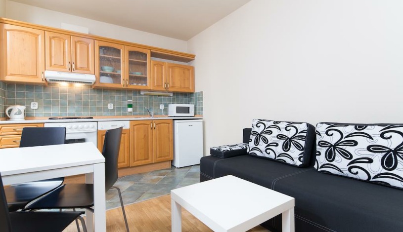 Picasso Apartments Praha - 1-bedroom apartment (3 people)
