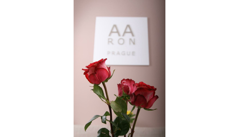 Aaron pension *** Praha