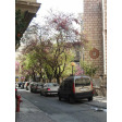 Apartment Agiou Markou Athens - Apt 21237