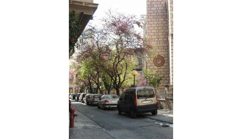Apartment Agiou Markou Athens - Apt 23810