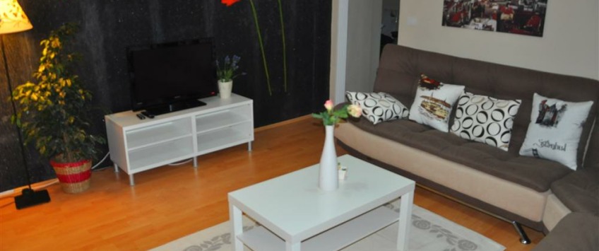 Apartment Ahmet Hikmet Sk Istanbul - Apt 29247