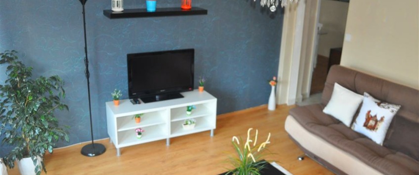 Apartment Ahmet Hikmet Sk Istanbul - Apt 29249