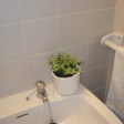 Apartment Alameda Eça de Queirós Porto - Apt 40428