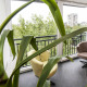 Apt 38081 - Apartment Aleksanickih rudara Beograd