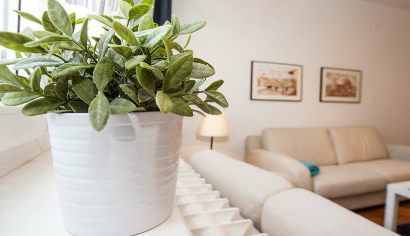 Apartment Alekse Nenadovića Beograd - Apt 38115