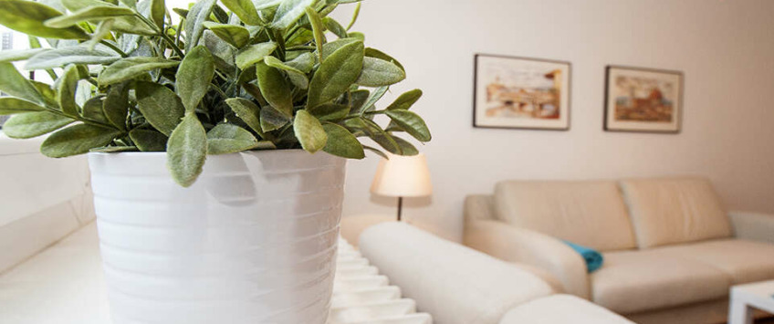 Apartment Alekse Nenadovića Beograd - Apt 38115