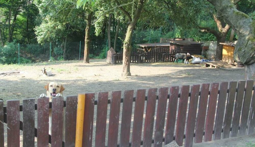 Hotel Alexander Praha