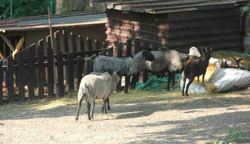Hotel Alexander Praha