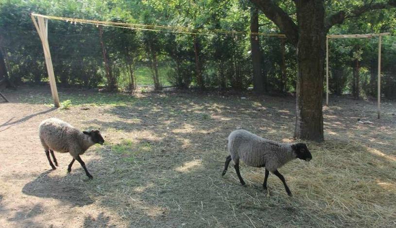 Hotel Alexander Praha
