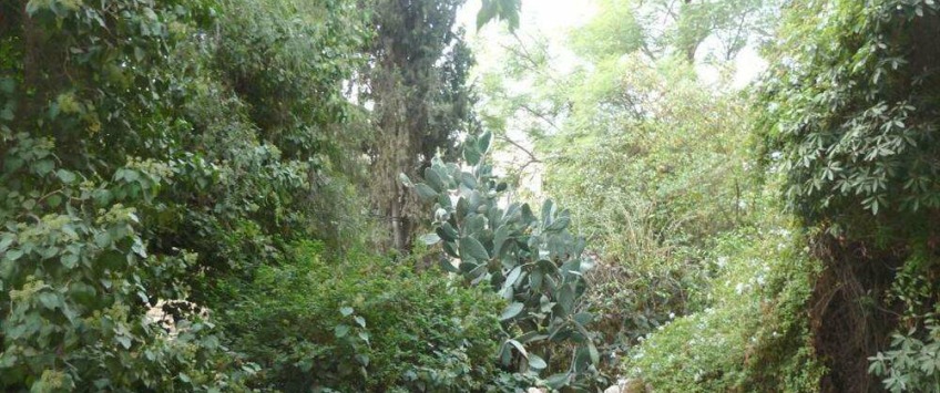 Apartment Alfasi Jerusalem - Apt 27105