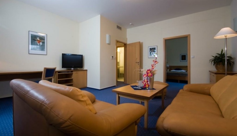 Business Hotel Alley Olomouc