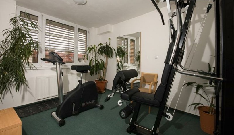 Business Hotel Alley Olomouc