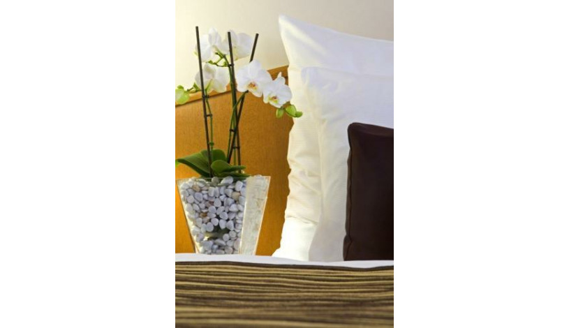 Hotel Plaza Alta Praha