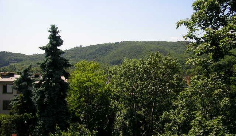Penzion Ami Brno