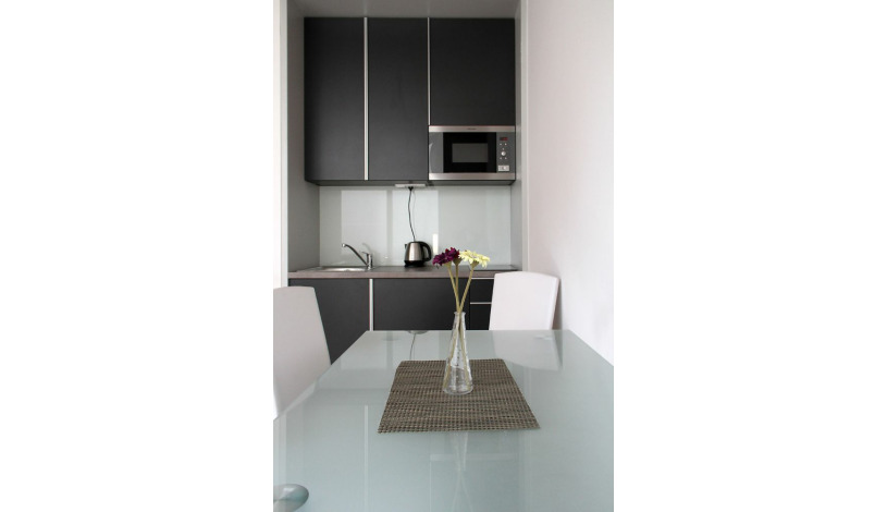 VN17 Appartements Wenzelsplatz Praha - Appartement (2 Personen)