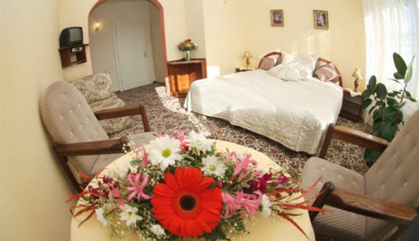 Hotel Anton Praha - Апартамент (2 человек)