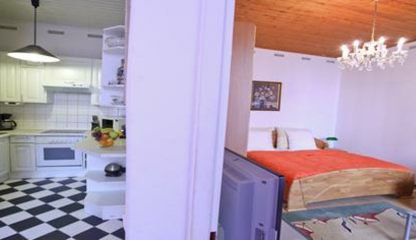 Apartment Anzengrubergasse Wien - Apt 3463