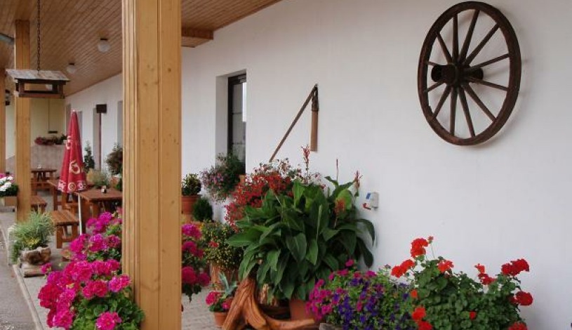 Apartmány Pension Hartaclub Vrchlabí