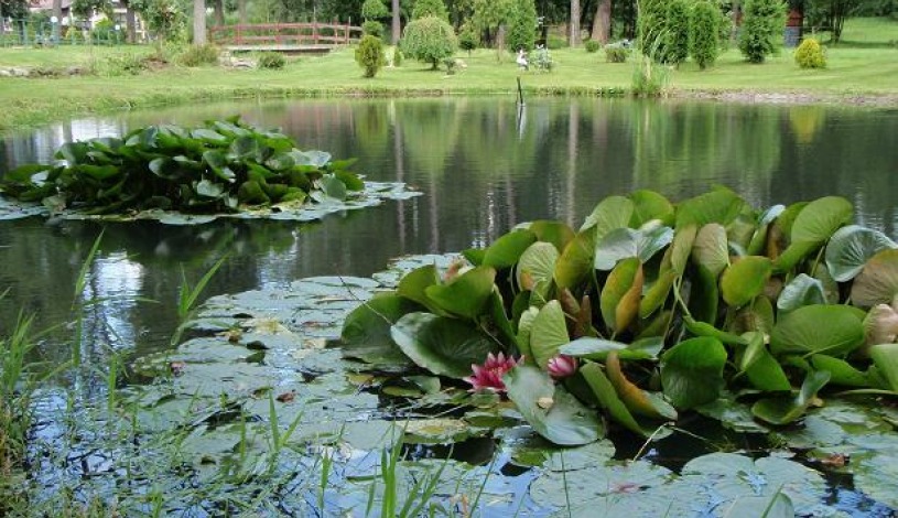 Apartmány Pension Hartaclub Vrchlabí