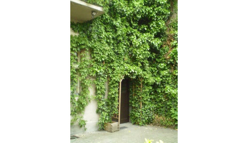 Apartmány Rossa Louny