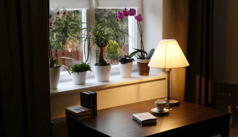 Apartmány Šupina Třeboň