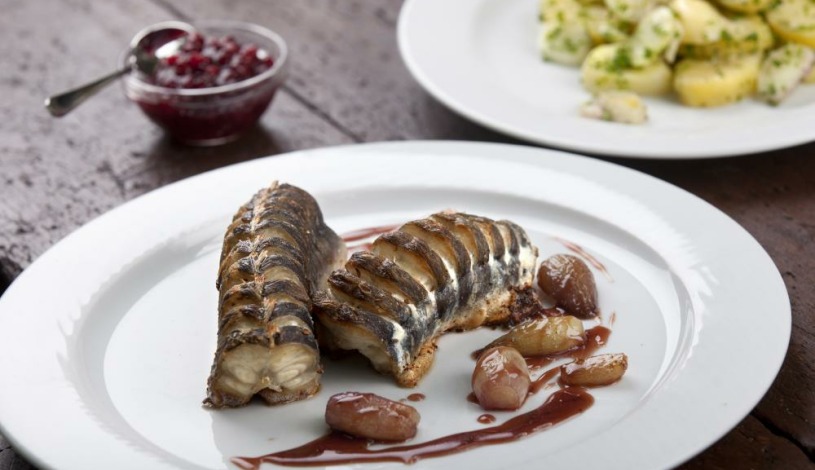 Apartmány Šupina Třeboň