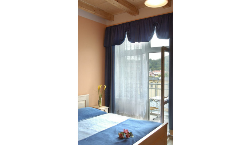 Apartments Victoria Karlovy Vary