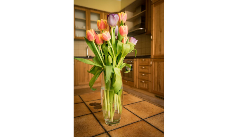 Apartments Victoria Karlovy Vary