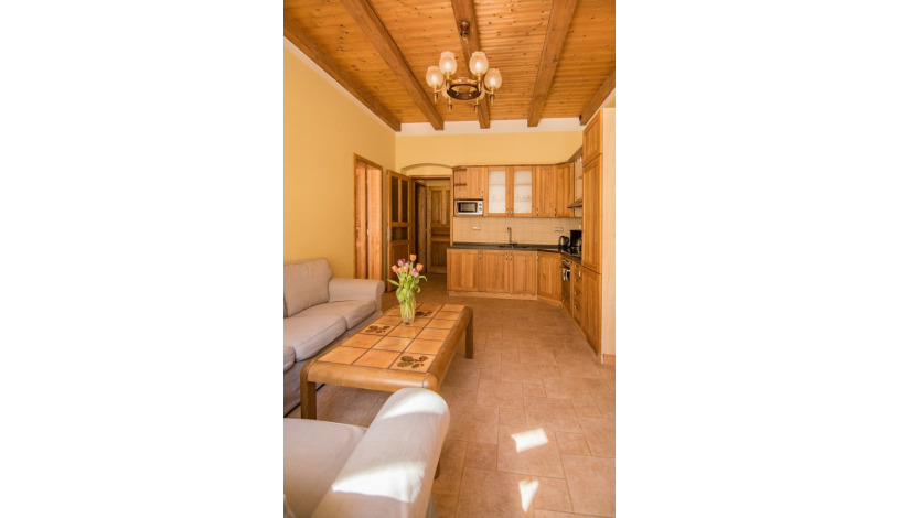 Apartments Victoria Karlovy Vary