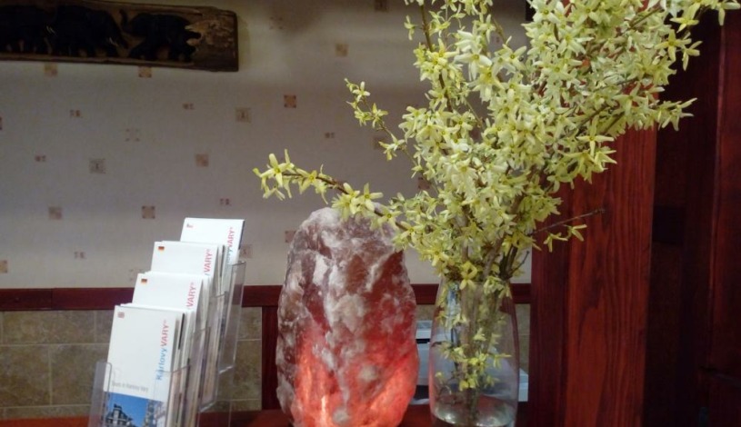 Apartments Victoria Karlovy Vary