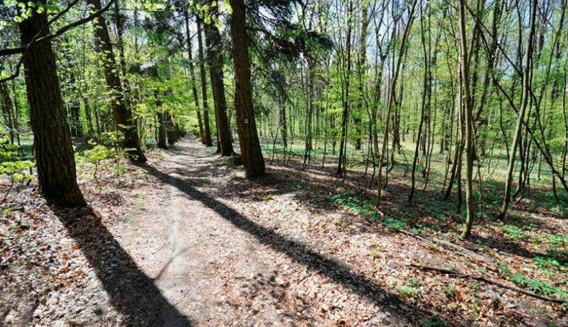 APART HOTEL VILLAS IVICA Marianka