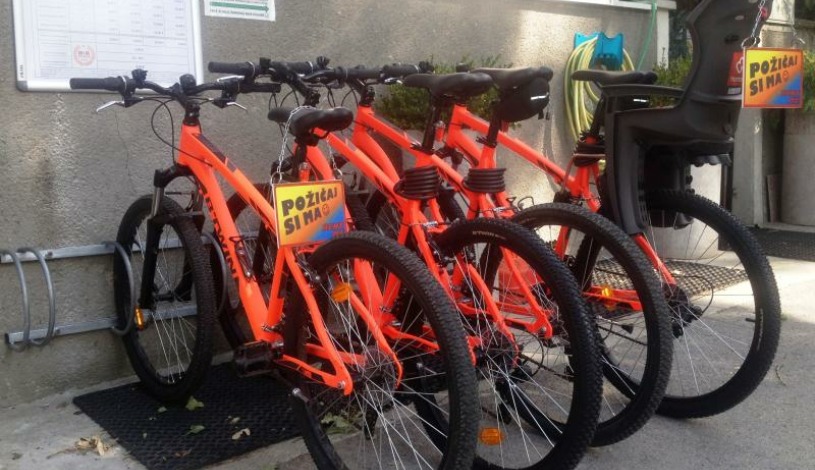 APART HOTEL VILLAS IVICA Marianka