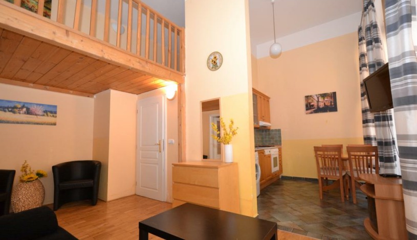 Apartments Wenceslas square Praha - Overbook