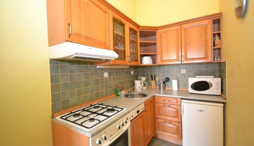 Apartments Wenceslas square Praha - One-bedroom Junior
