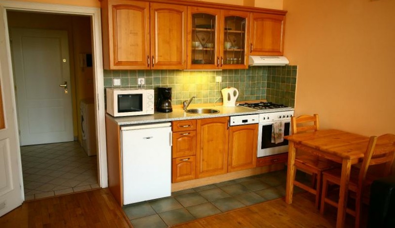 Apartments Wenceslas square Praha - Apartmán