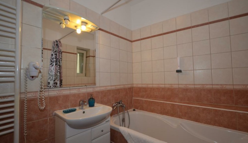 Apartments Wenceslas square Praha - Studio 509