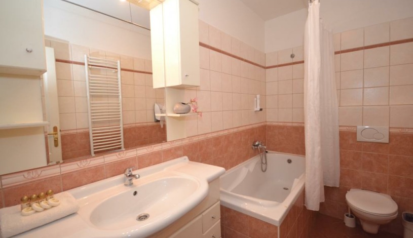 Apartments Wenceslas square Praha - Two Bedroom 603