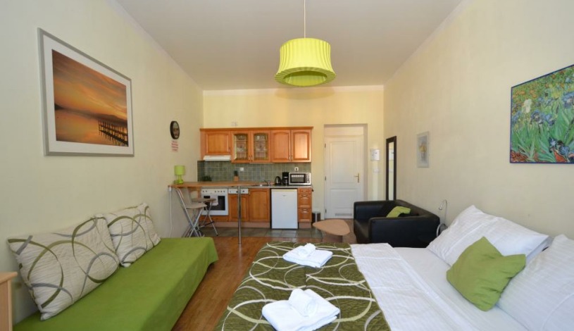 Apartments Wenceslas square Praha - Studio 