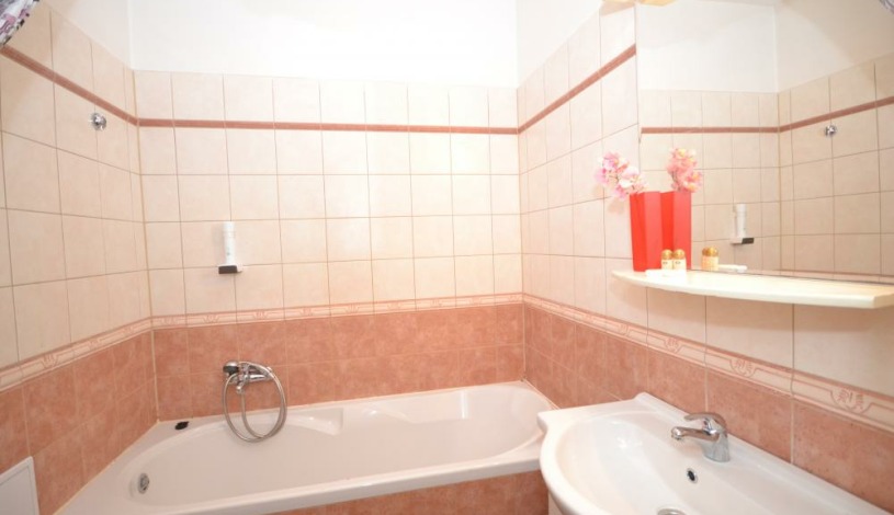 Apartments Wenceslas square Praha - Studio 