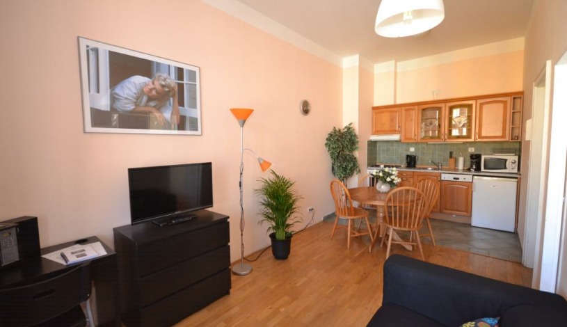 Apartments Wenceslas square Praha