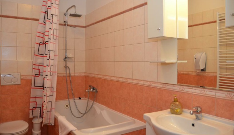 Apartments Wenceslas square Praha - One Bedroom 705