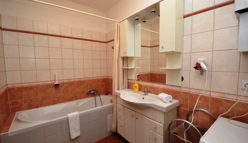 Apartments Wenceslas square Praha - Apartmán