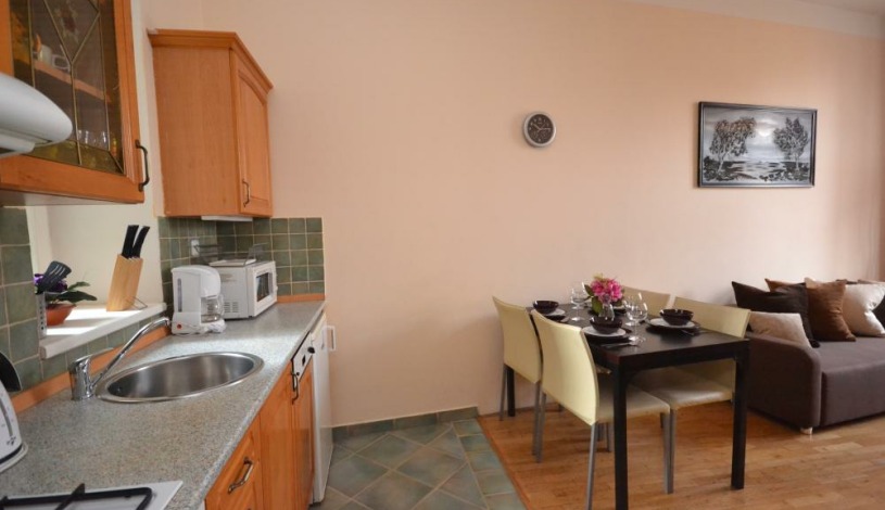 Apartments Wenceslas square Praha - One bedroom 602