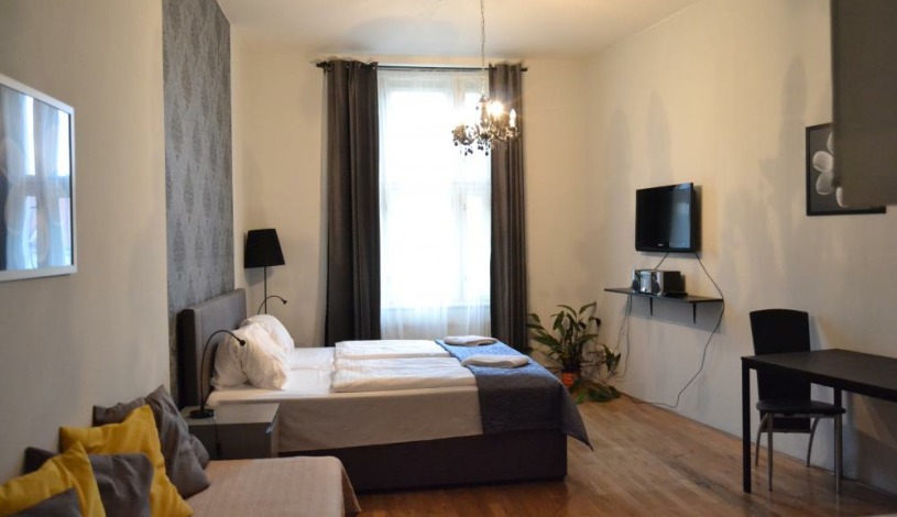 Apartments Wenceslas square Praha - Studio 509