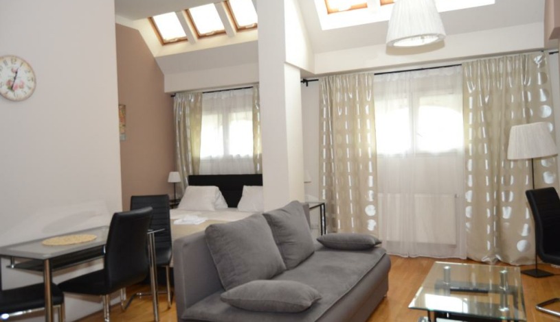 Apartments Wenceslas square Praha - Studio 708