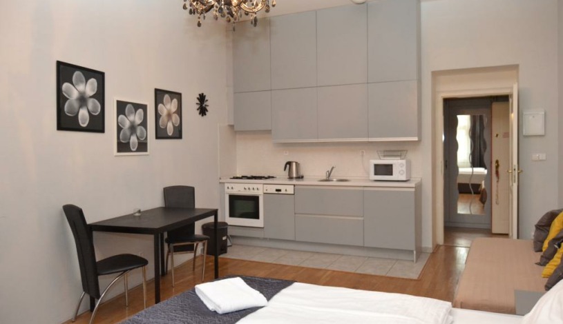 Apartments Wenceslas square Praha - Studio 509