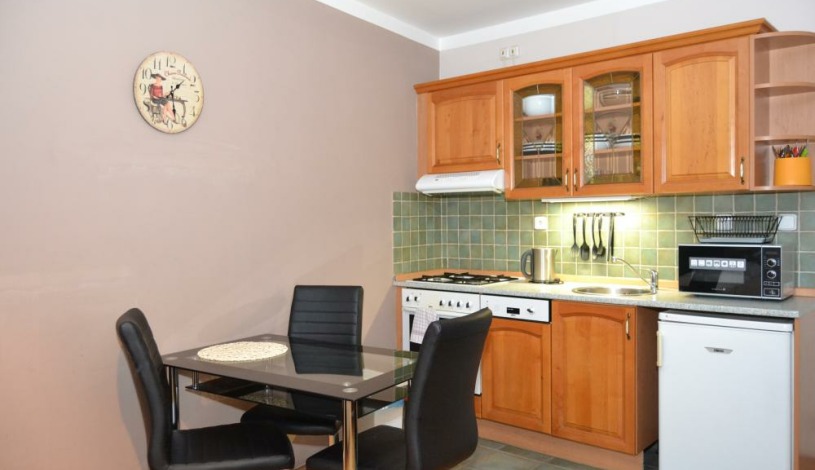 Apartments Wenceslas square Praha - Studio 709