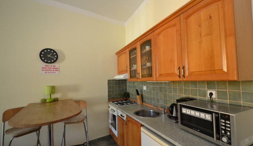 Apartments Wenceslas square Praha - Studio 