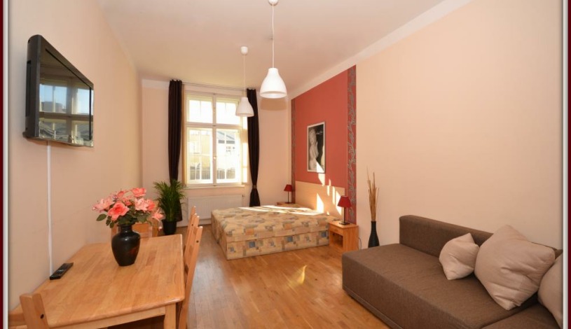 Apartments Wenceslas square Praha - One-Bedroom 606